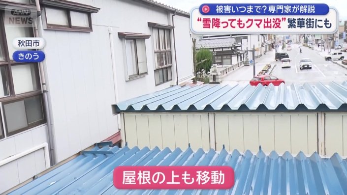 屋根の上も移動