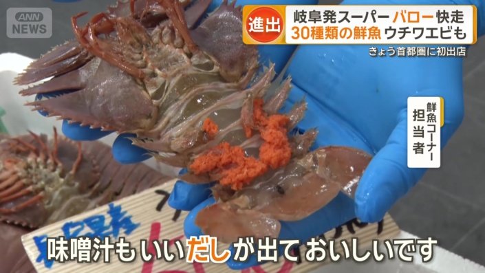 長崎産のウチワエビ