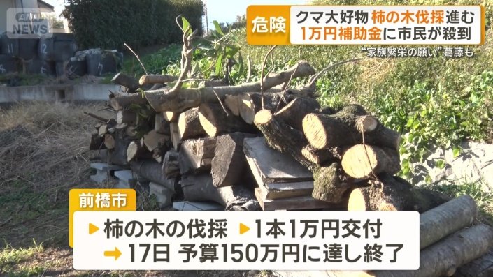 柿の木を伐採する人に1本あたり1万円を交付する事業