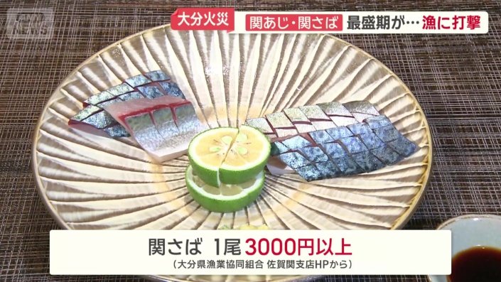 これからが旬「関さば」