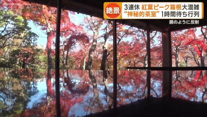 庭園の中にある茶室