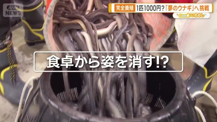 食卓から姿を消す！？