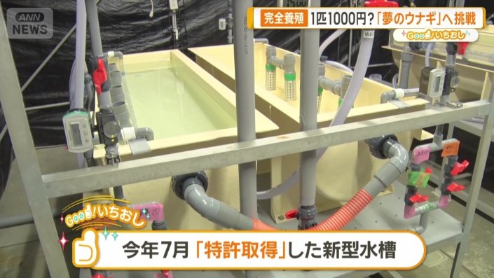 特許を取得した新型の水槽