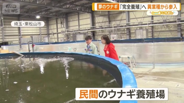 民間のウナギ養殖場
