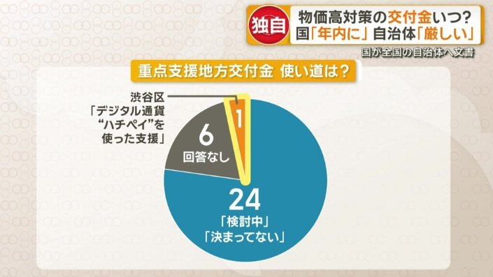 重点支援地方交付金の使い道は？