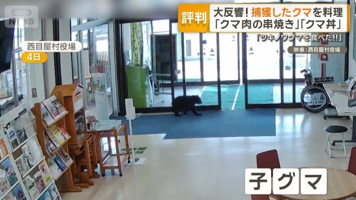 村役場に子グマが侵入