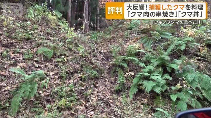 クマが通ったと思われる獣道