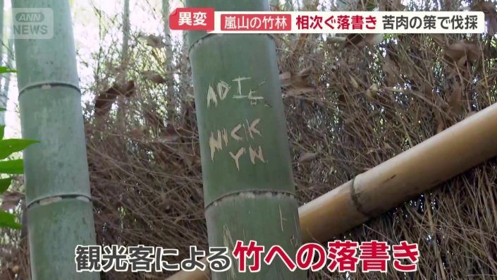 竹への落書きが目立つように…