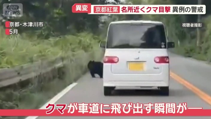 突然クマが車道に…