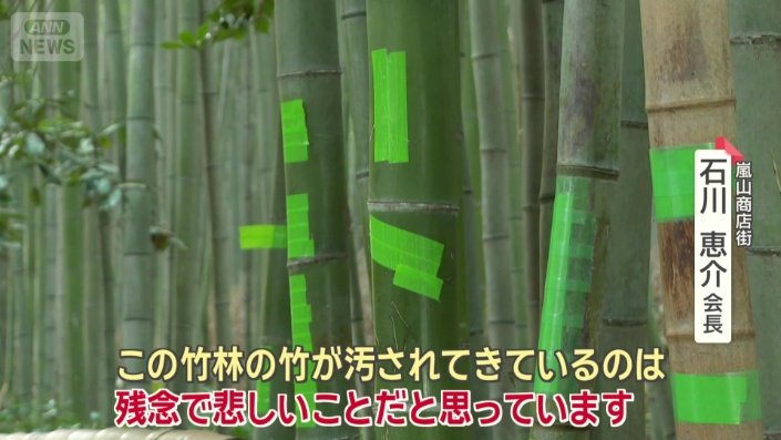 伐採の効果を見極めたうえで、今後の対策につなげる