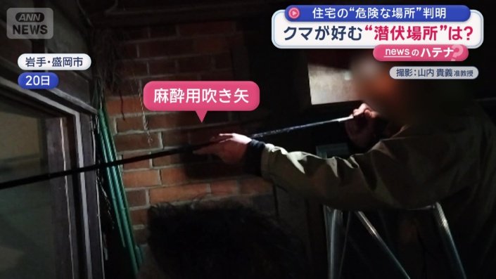 麻酔用の吹き矢