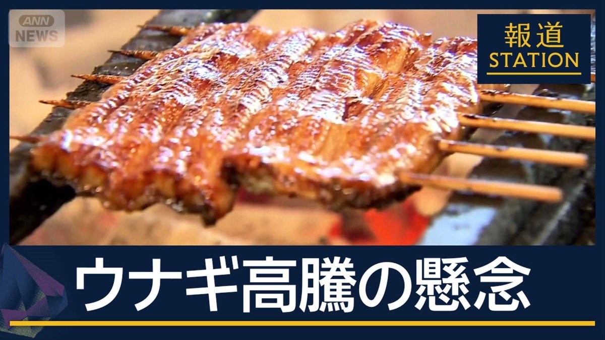 『ウナギ』価格高騰の可能性も…国際会議で“規制強化”議論 EU案に日本は反対