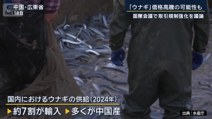 国内におけるウナギの供給
