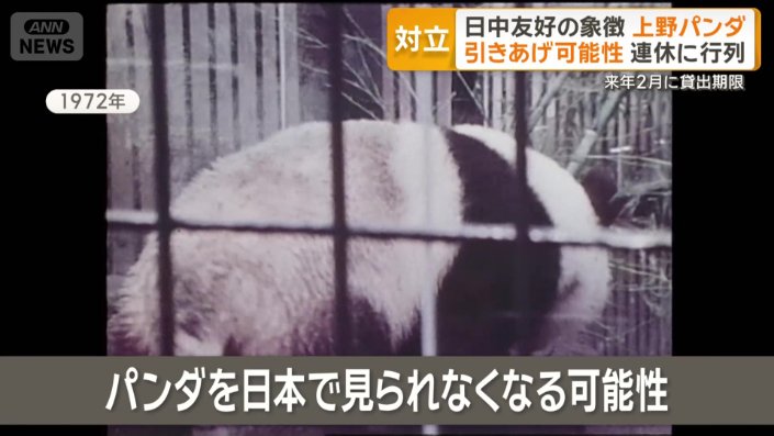 パンダを日本で見られなくなる可能性も