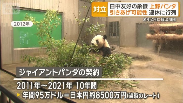 ジャイアントパンダの契約