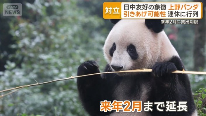 契約は来年2月まで延長されていた