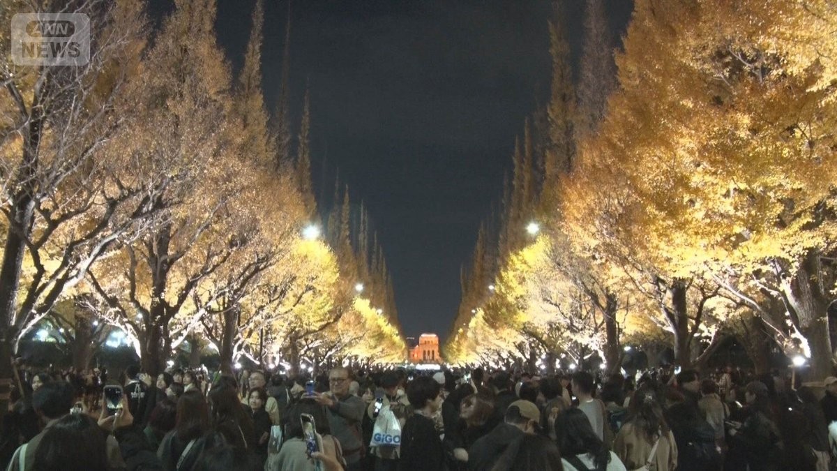 神宮外苑イチョウ並木の紅葉に観光客殺到　車道での危険な撮影相次ぎ混乱