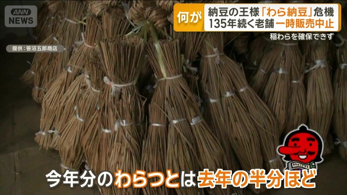 今年分のわらつとは去年の半分ほど