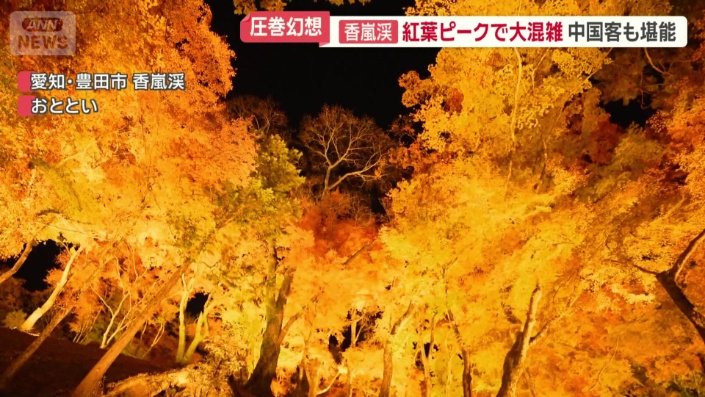ライトアップされた紅葉
