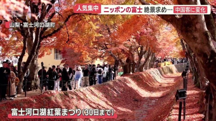 「もみじ回廊」