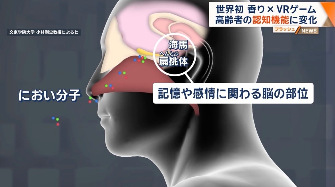においと脳の関係