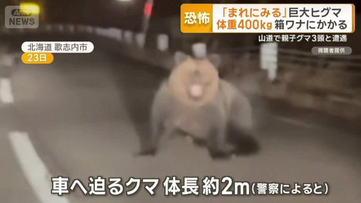 勢いよく車の方へと迫ってくる体長約2mのクマ