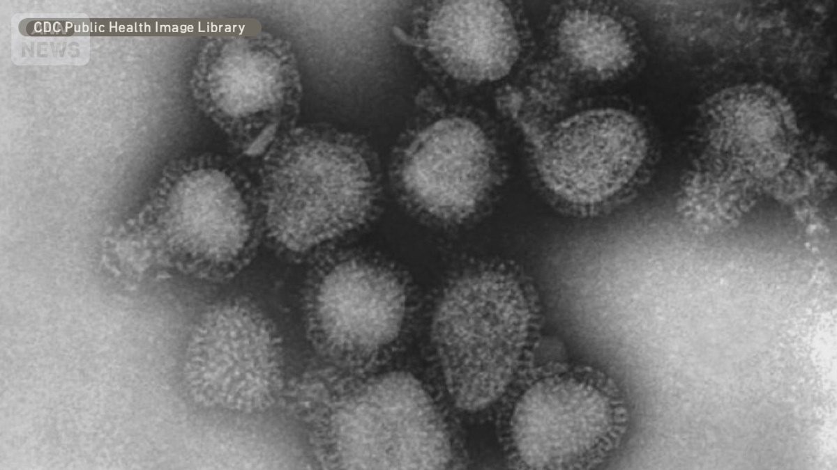 インフルエンザのピーク早まる 新変異株「サブクレードK」拡大 胃腸にも症状