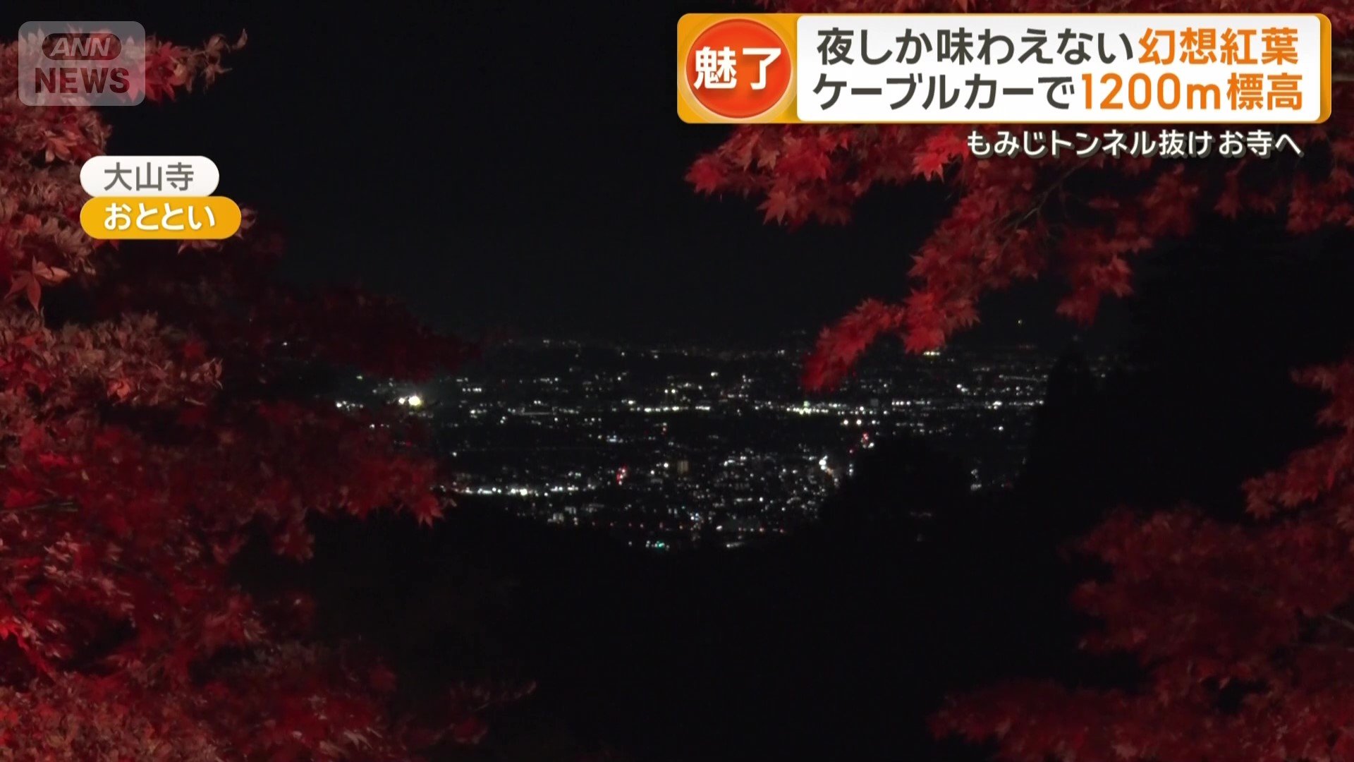 紅葉と夜景を一度に楽しめる絶景