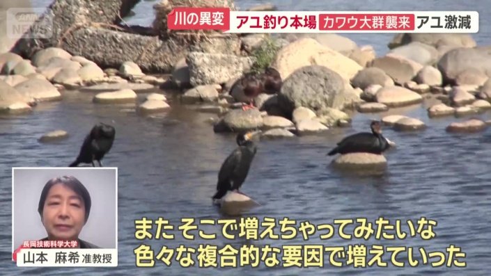 長岡技術科学大学　山本麻希准教授