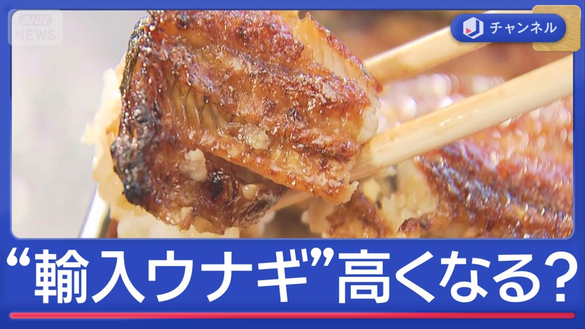 日本の食がピンチ「輸入ウナギ」高くなる？世界巻き込む“規制強化”議論