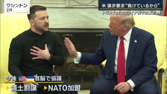 領土割譲やNATO加盟に関する項目