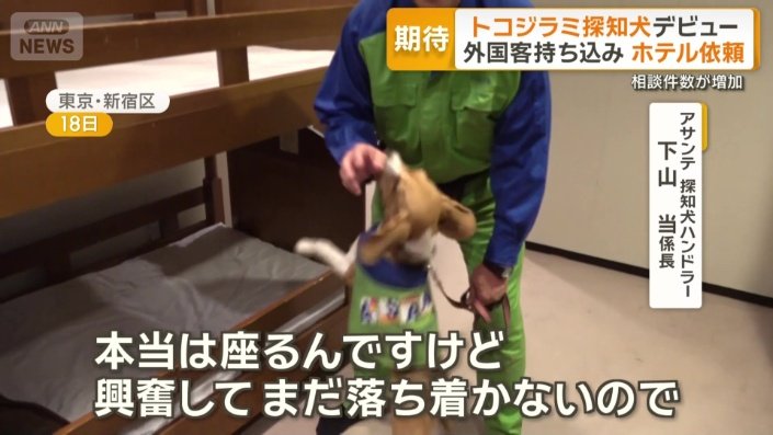 アサンテ・探知犬ハンドラーの下山当係長
