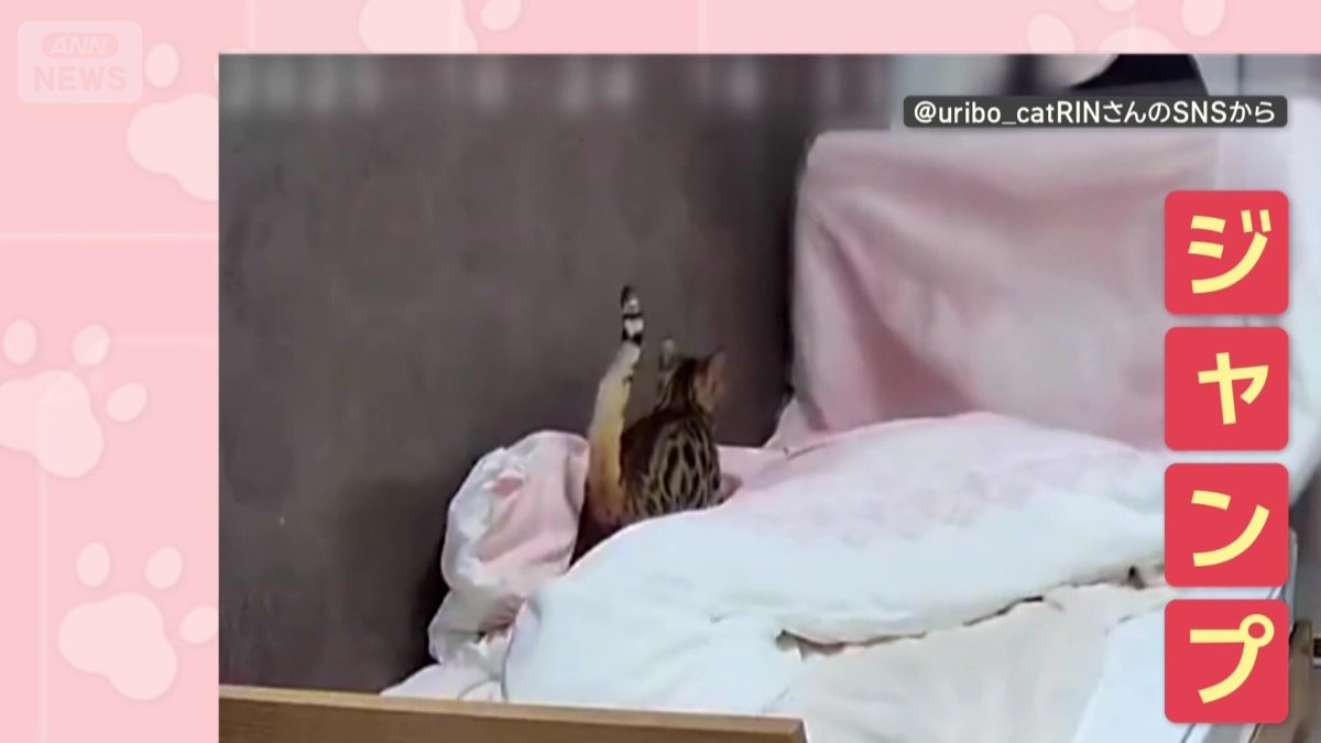 布団にジャンプ!