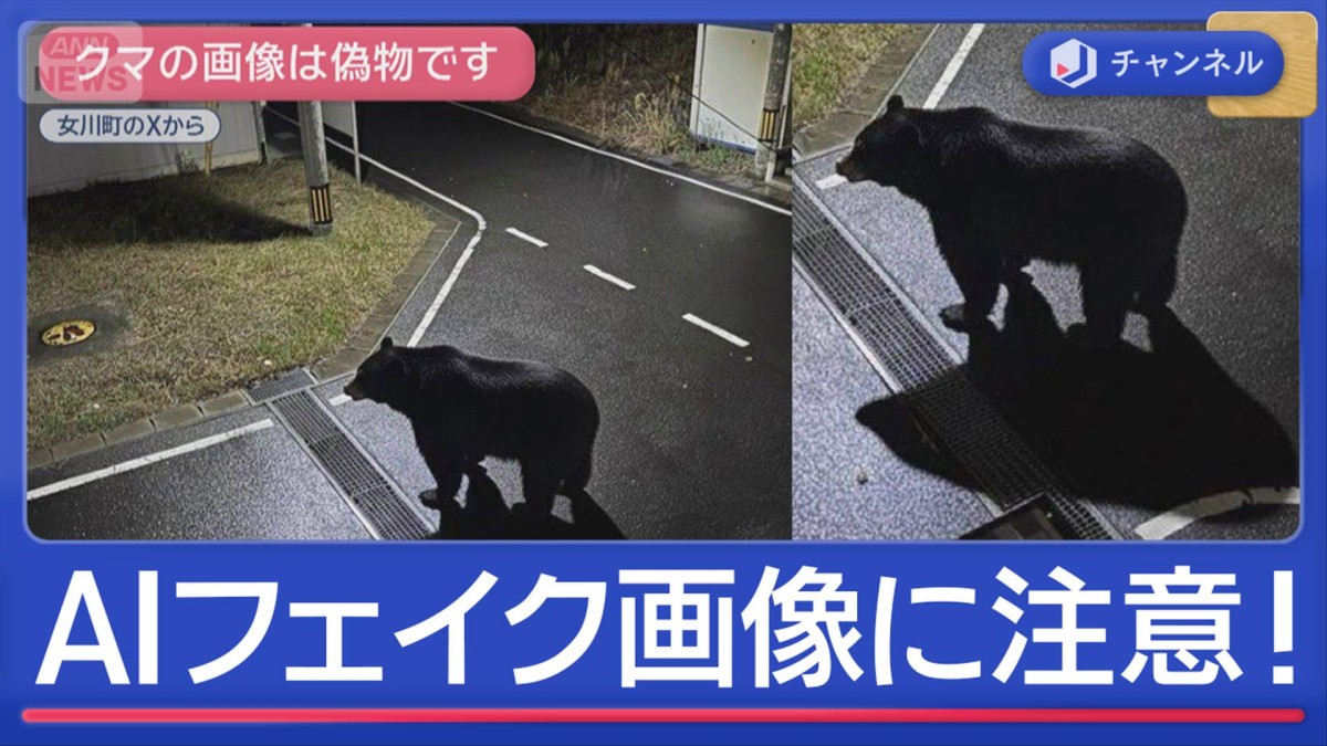 クマの衝突事故“最多”に　フェイク動画も