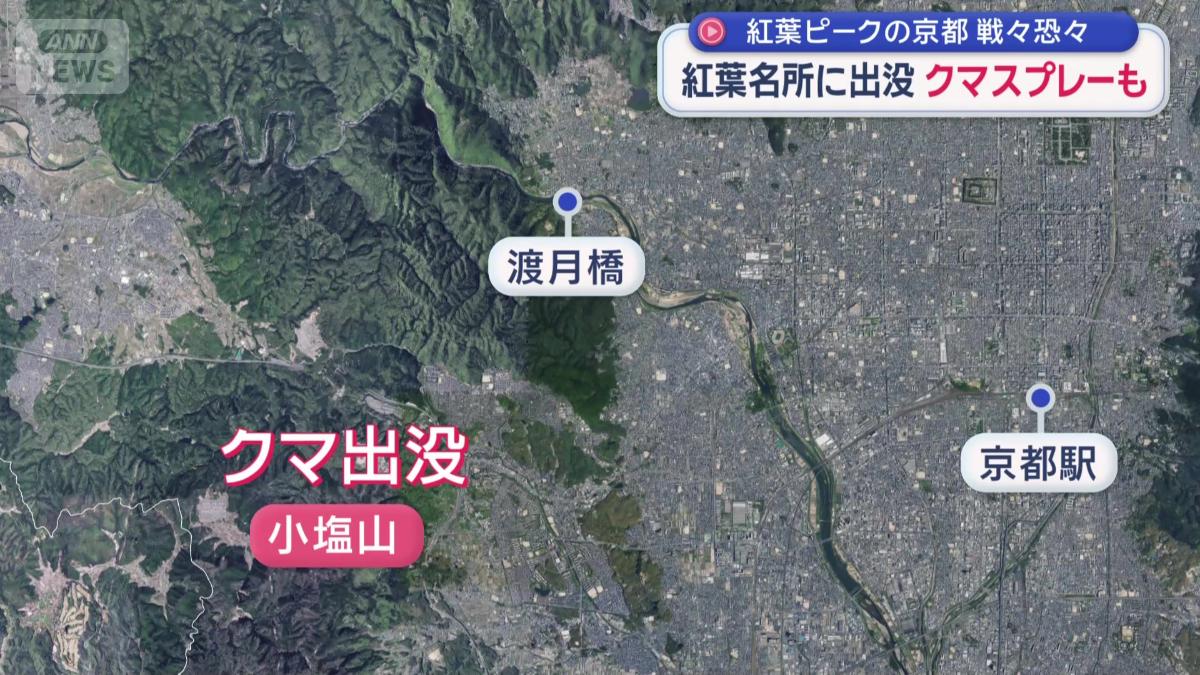 京都市の市街地に隣接する山