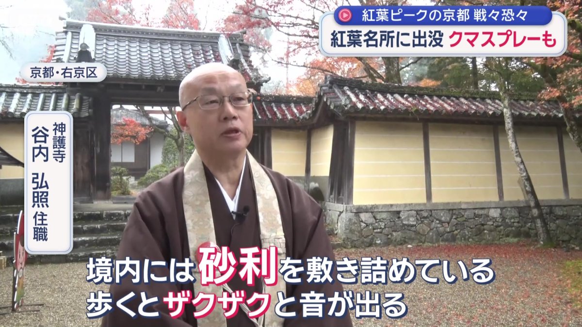 神護寺　谷内弘照住職