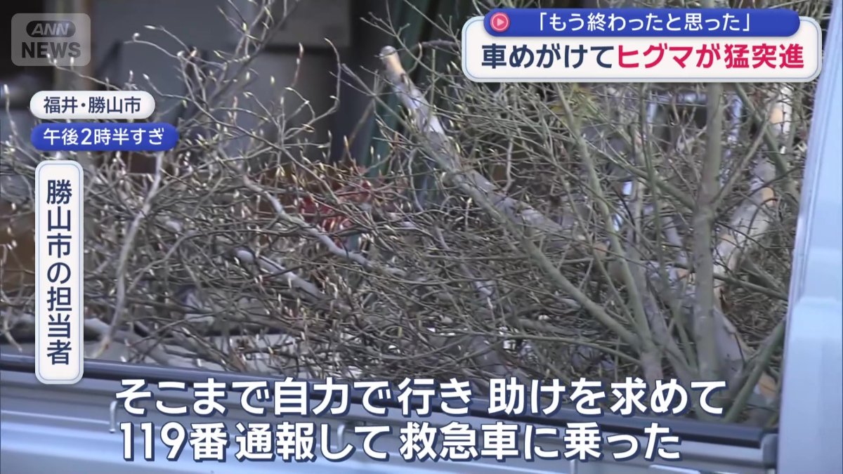 勝山市の担当者