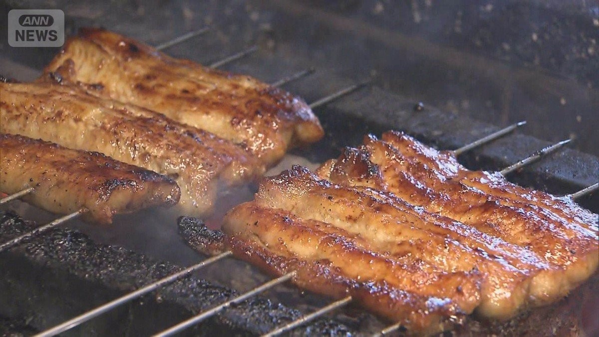 ウナギ規制強化『否決』日本の外交官“ギリギリの勝負”の舞台裏