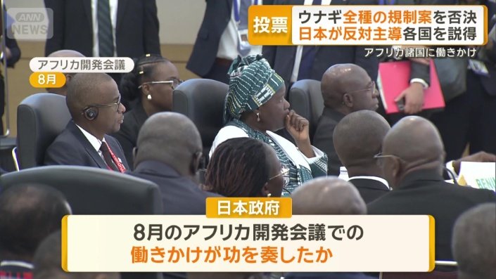 アフリカ諸国への働きかけが功を奏したか