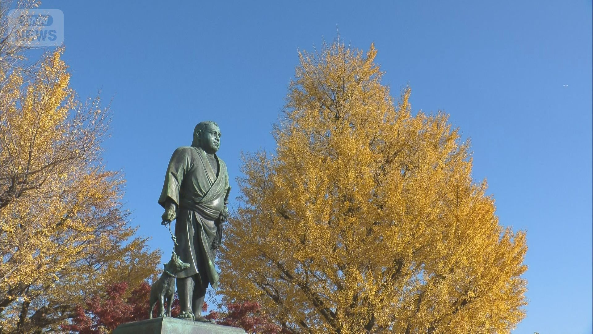 28日の東京・上野恩賜公園