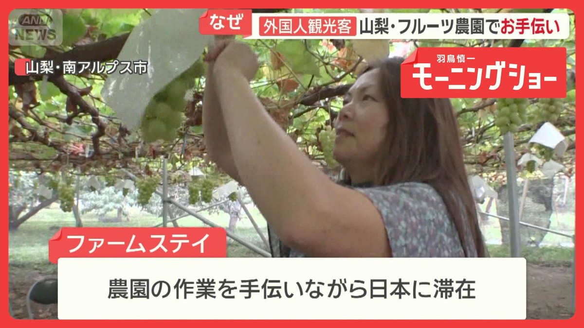 農園で手伝いながら日本に滞在する「ファームステイ」　海外から応募殺到