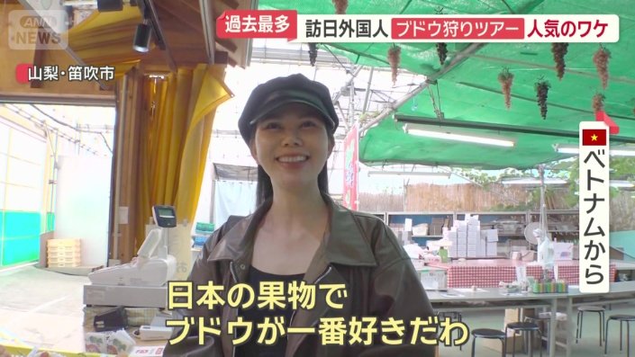 シャインマスカットを試食