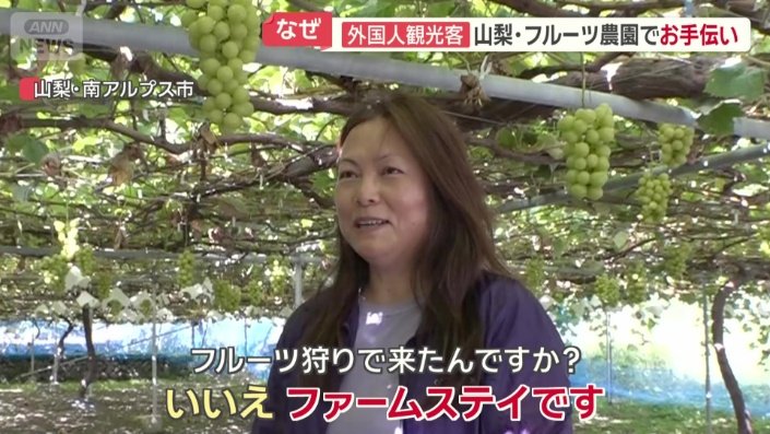 ファームステイで来た女性