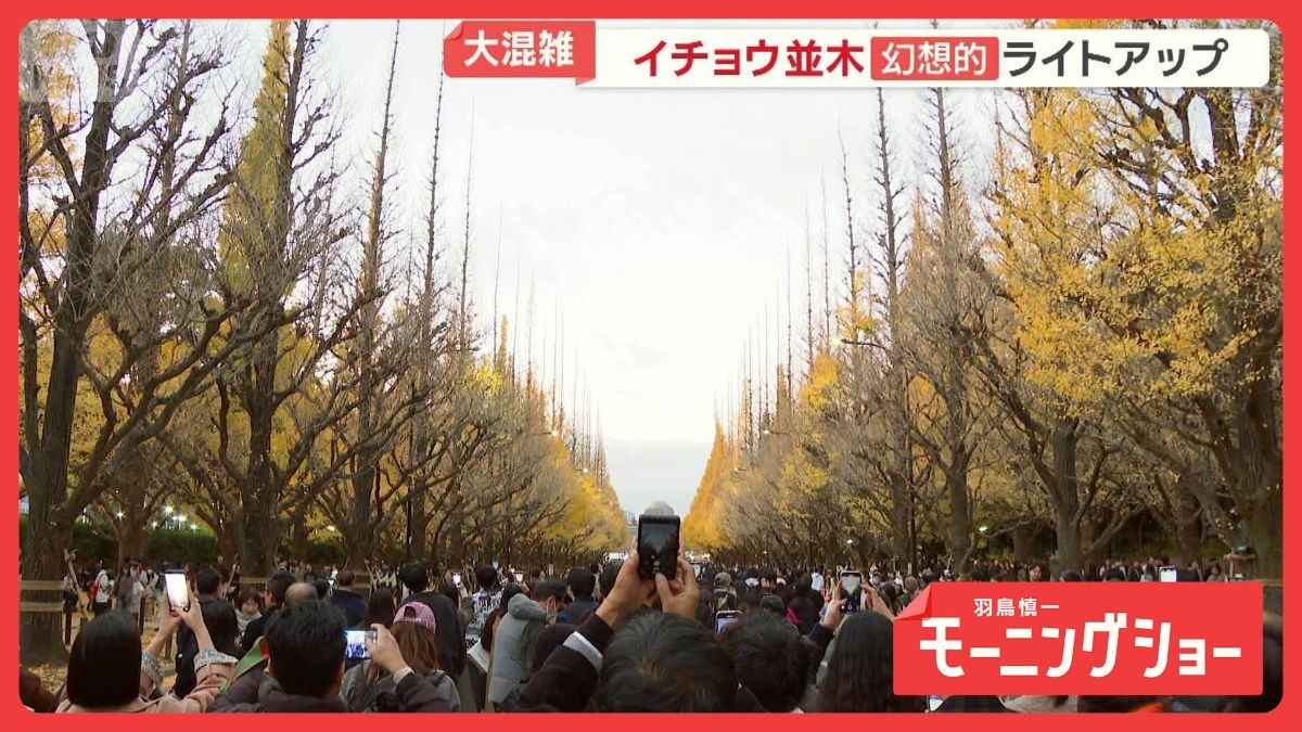 大混雑・神宮外苑イチョウ並木　赤信号でスマホ撮影　警備員注意も道路横断　新対策は