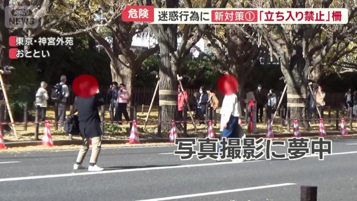 写真撮影に夢中になる2人