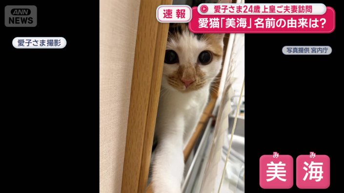 愛子さまが撮影された写真