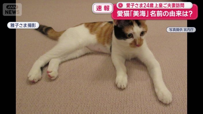 雅子さまが撮影された写真