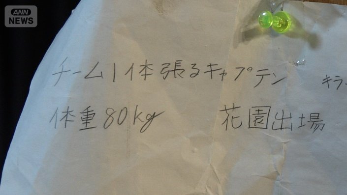 花園に向けた決意