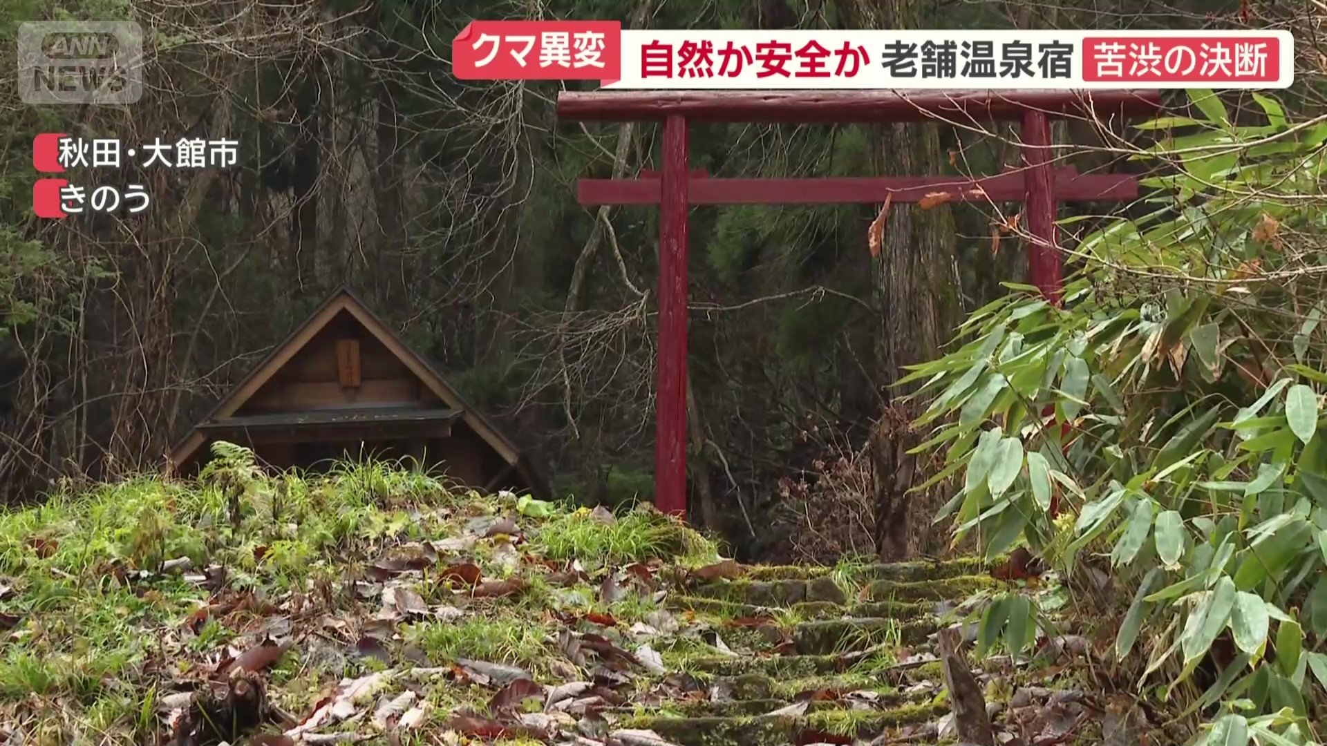 自然を満喫するための散策コースも