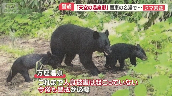 これまで人身被害は起こっていないが…